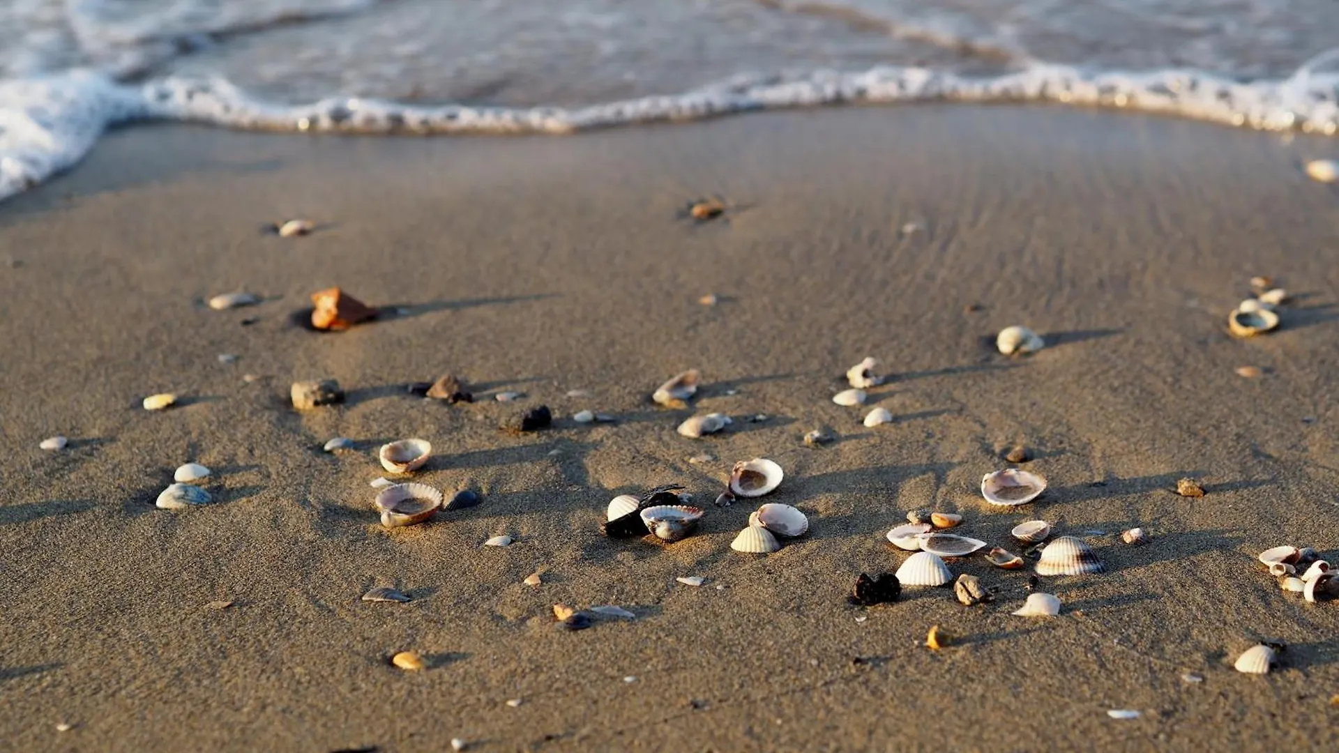 Comfortable One Bedroom Apartment Close To The Beach Bibione